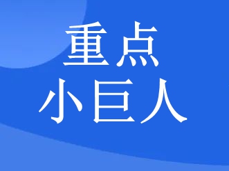 一(yī)文(wén)詳解丨專精特新重點“小(xiǎo)巨人(rén)”企業(yè)申報(bào)條件(jiàn)及要(yào)點解讀(dú)